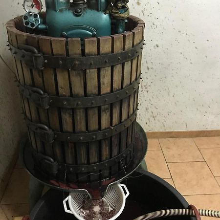 Agriturismo Il Melo ヴァルファッブリカ エクステリア 写真