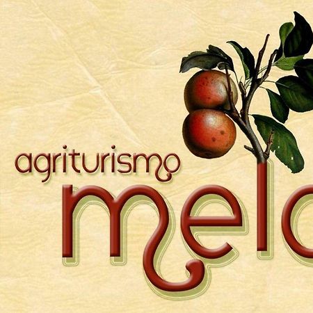 Agriturismo Il Melo ヴァルファッブリカ エクステリア 写真