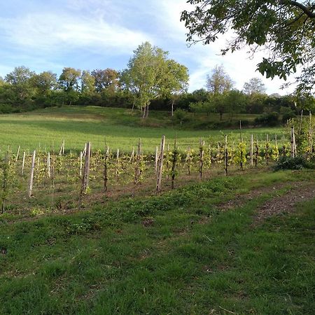 Agriturismo Il Melo ヴァルファッブリカ エクステリア 写真